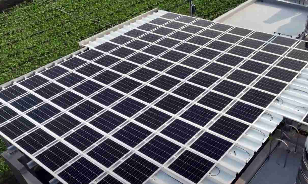 PA直营SunSteel光电浪板升级双玻结构，，，，以提升机械负载强度及气候耐候度，，，，可广泛运用于多元场域