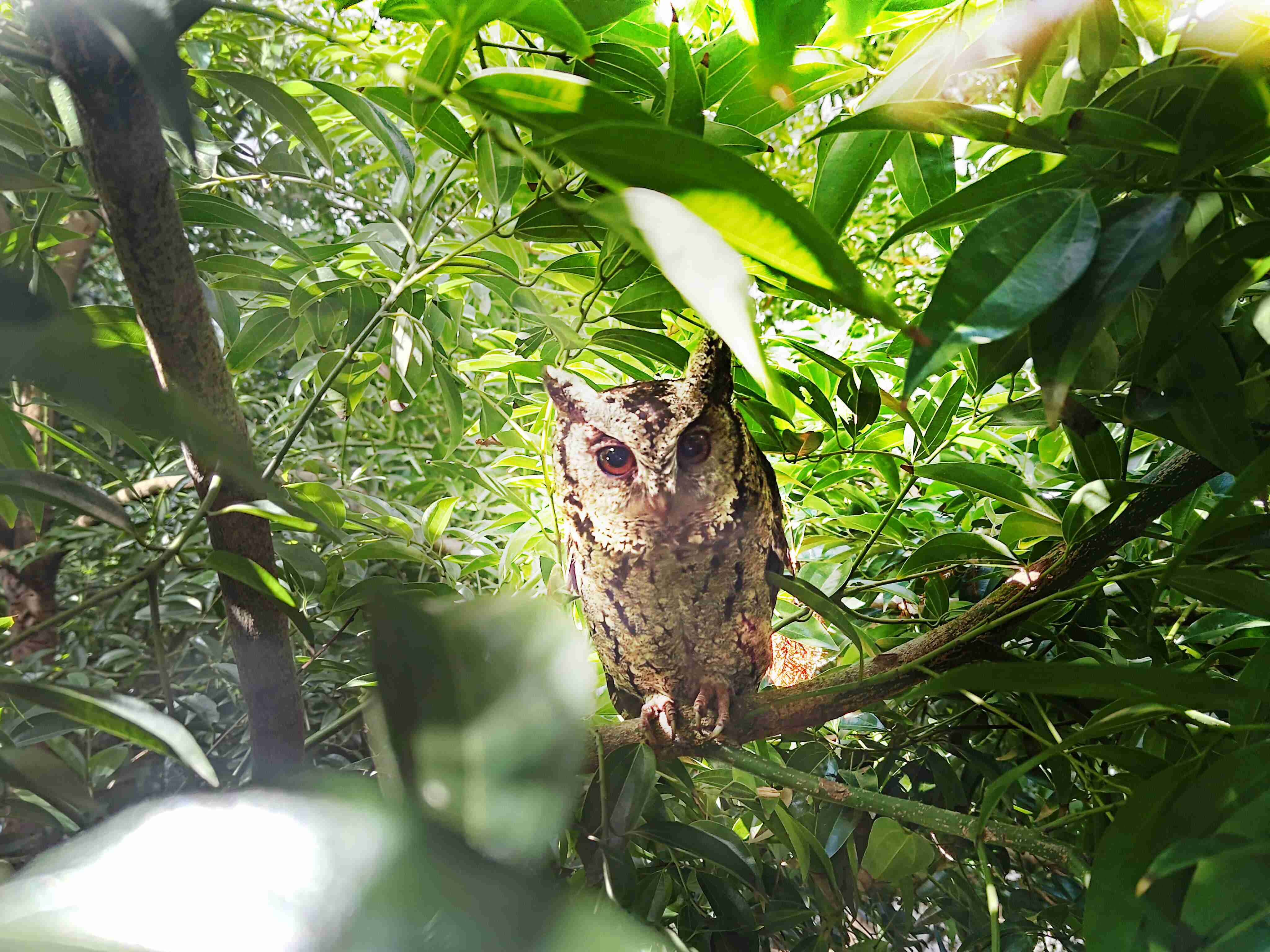 PA直营致力提倡净零绿生活，，，，16年以来在全球各厂区植树逾百万棵，，造就各厂区树木蔚然成林，，，，犹如森林工厂，，，，成为许多生物的栖息地